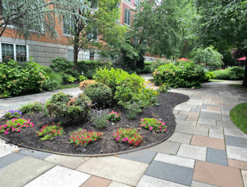 Landscaping